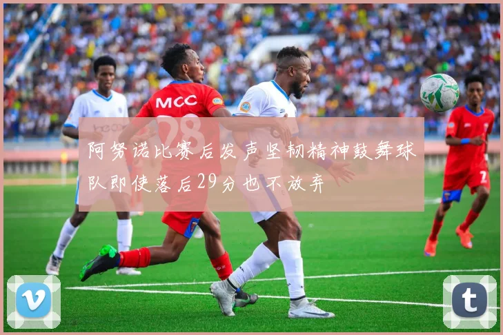 阿努诺比赛后发声坚韧精神鼓舞球队即使落后29分也不放弃