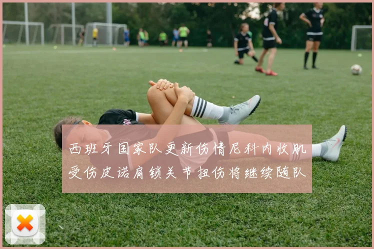 西班牙国家队更新伤情尼科内收肌受伤皮诺肩锁关节扭伤将继续随队训练